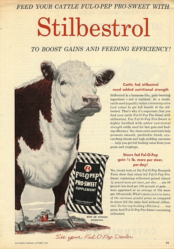 Publicité américaine de 1955 faisant la promotion du Stilbestrol comme supplément alimentaire chez les bovin - scandale du veau aux hormones (anabolisants, distilbène, DES)
